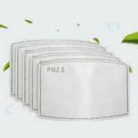 New Disposable 5 Layers Pm2.5 Filter Cotton Face Maskes Filter Pm 2.5 Activated Carbon MaskesFilter for Cotton Dustmaskes