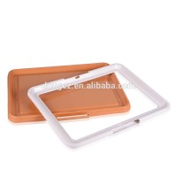 Wholesale Plastic Indoor Puppy Potty Litter Training Pet Male Dog Pee Tray Grand Dog Toilet