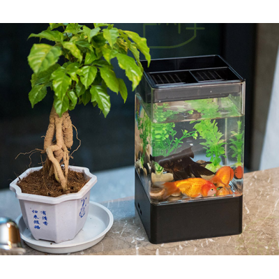 Customized acrylic fish tank with led light no need to change water