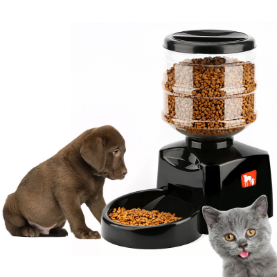 Pet supplies are automatically fed at regular intervals